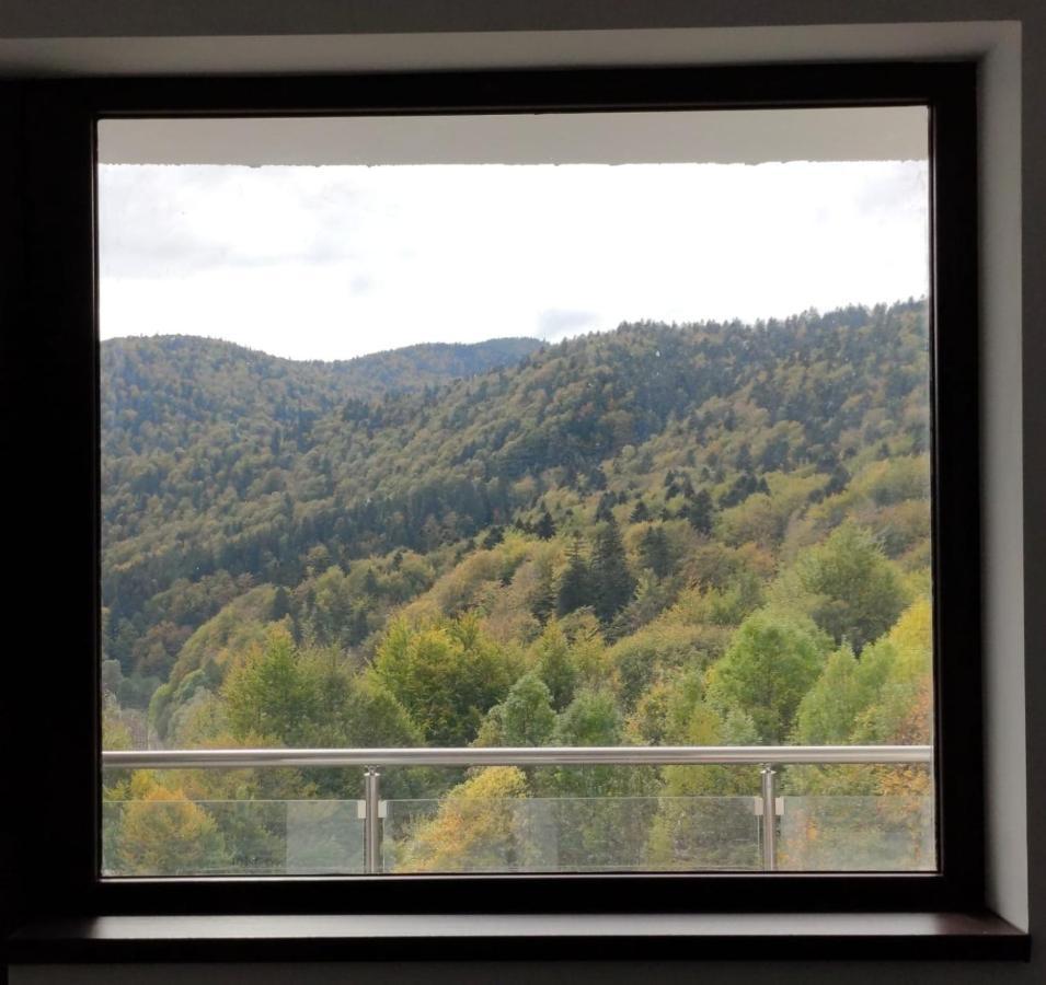Apartament Velvet