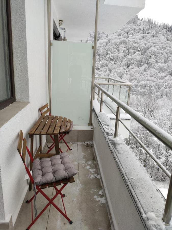 Velvet Sinaia