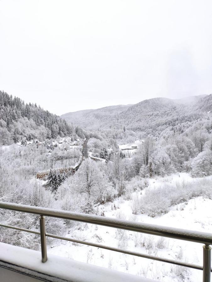 Velvet Sinaia
